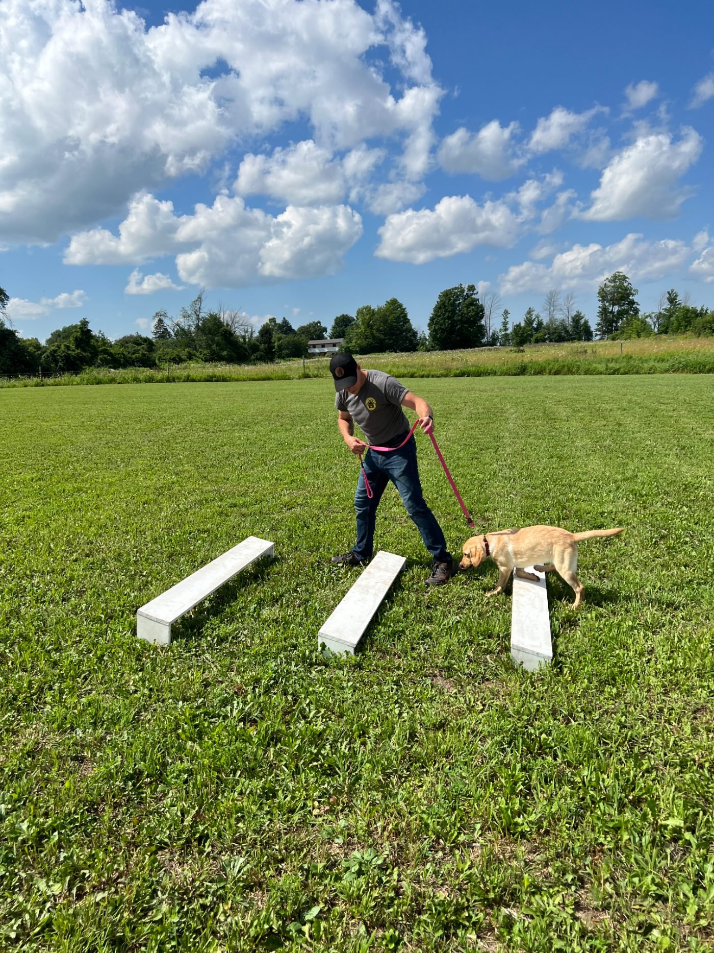 Allan working through a training exercise with a dog